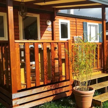Mobil-Home 6 personnes à Munster en Alsace Esterno foto